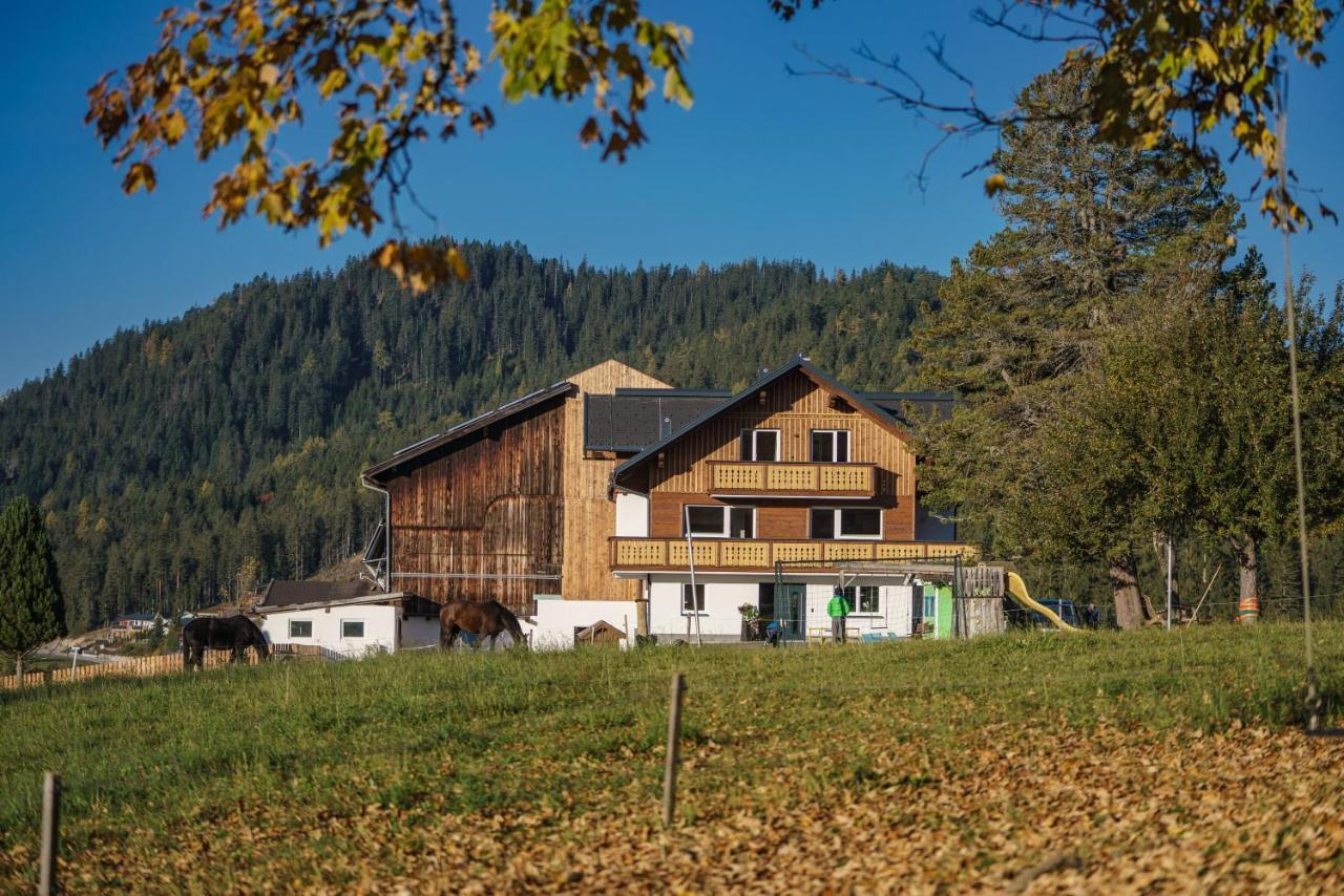 Deluxe Appartement Blasbichlerhof 拉姆绍达赫斯坦 外观 照片